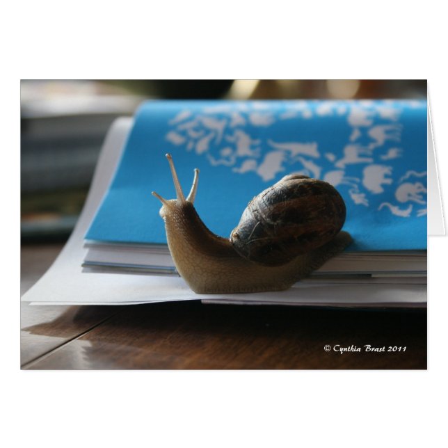 ¡Deja que el sol brille! (Anverso (Horizontal))