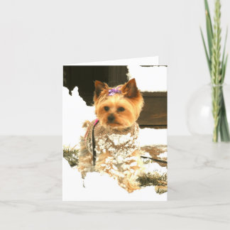 Dejáis le nevar tarjeta de nota