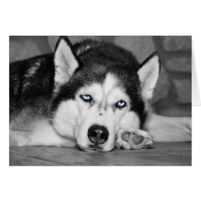 Déjame Dormir Por Favor (Anverso (Horizontal))