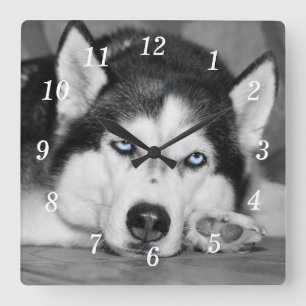 Déjame dormir, por favor, el reloj de pared