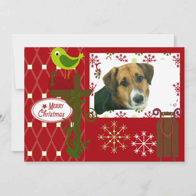 Dejar que nieve tarjeta de fotos de vacaciones per (Anverso)