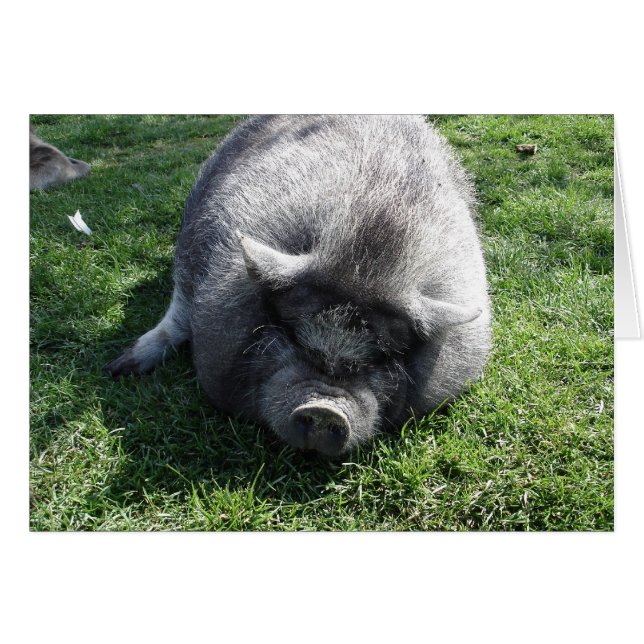 dejarme solo (Anverso (Horizontal))