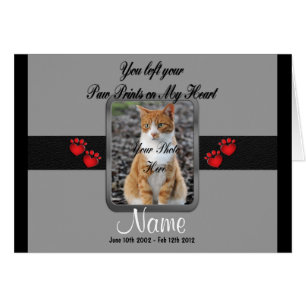 Dejaste tus pinturas - Gris