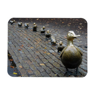 ¡Dejen Lugar A Los Ducklings! Imán