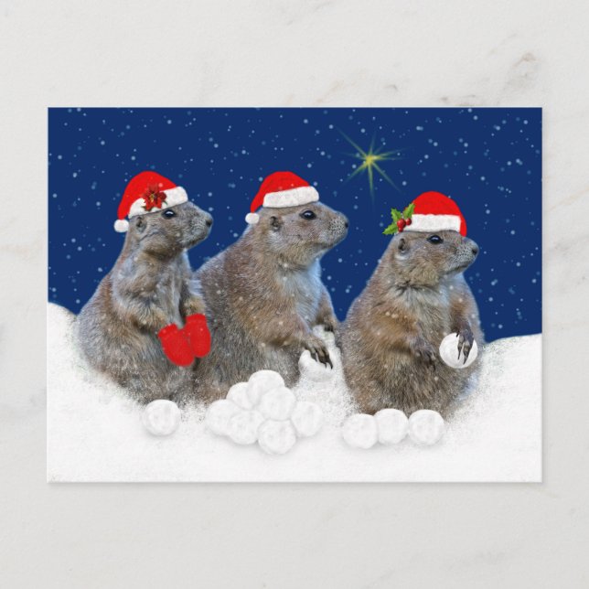 Dejen que los Navidades de nieve postales (Anverso)