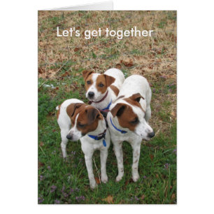 Déjenos la reunión 2752