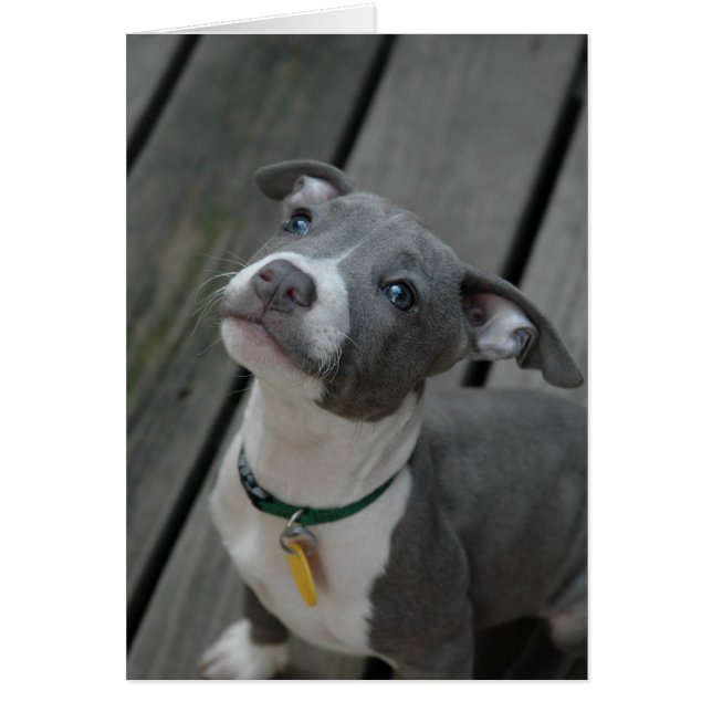 Del corazón (Frente)