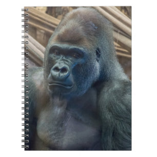 Del gorila cuaderno cercano para arriba