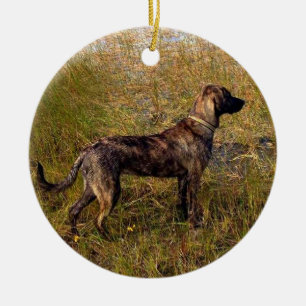 Del ornamento del Personalizado del perro