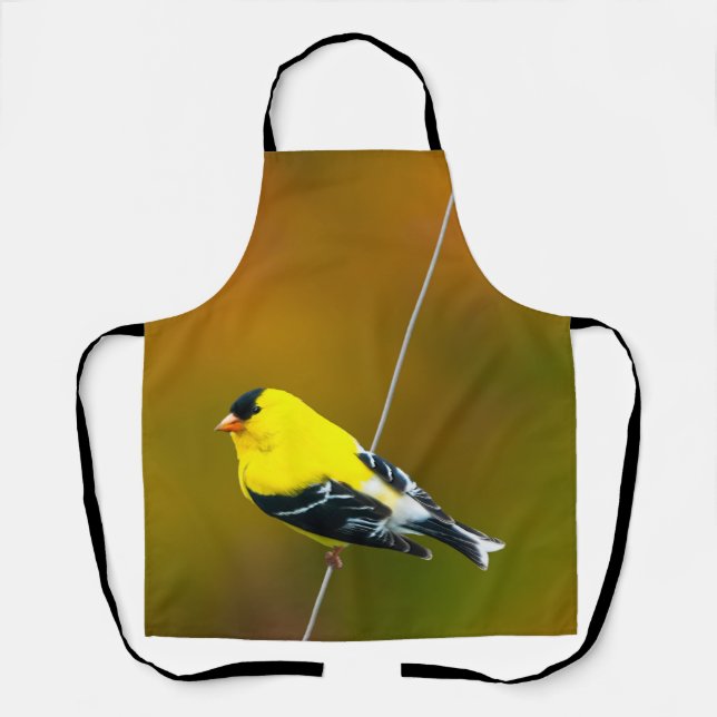 Delantal American Goldfinch - Fotografía original (Anverso)