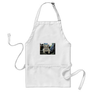 Delantal Apron Tiny Cat Face