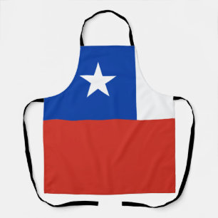 Delantal Apron todo en Chile