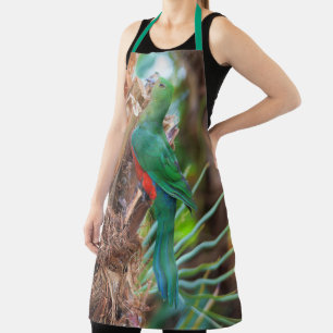 Delantal Asombroso reico australiano trepando un árbol