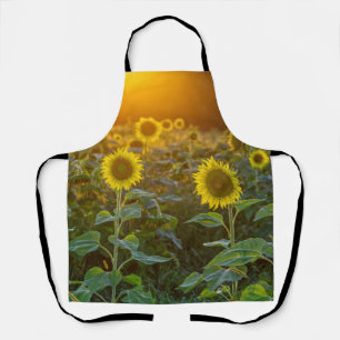 Delantal Atardecer En El Campo Del Girasol
