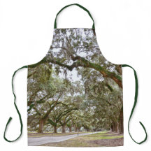 Avenida de Oaks, Carolina del Sur