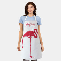 Aves antiguas, un flamenco rosa con una pata levan