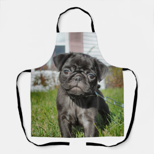 Delantal B;ack Pug cachorro