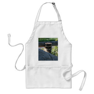 Delantal Baby Raccoon Rock Photo