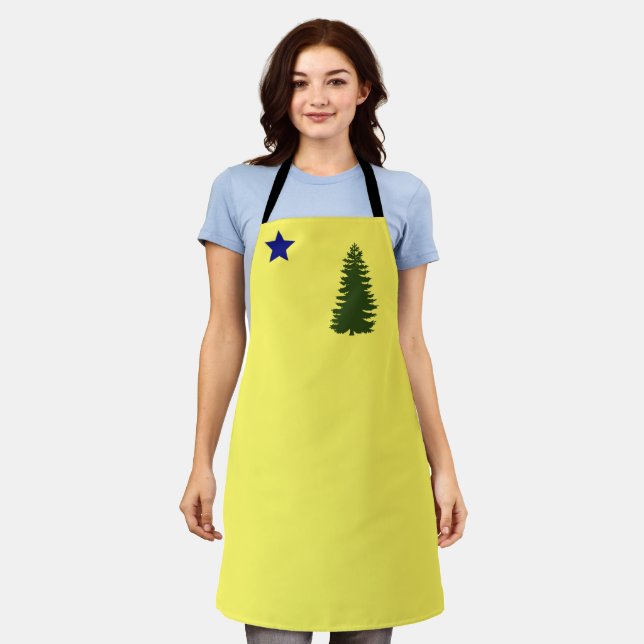 Delantal Bandera antigua principal (1901) (Gastado)