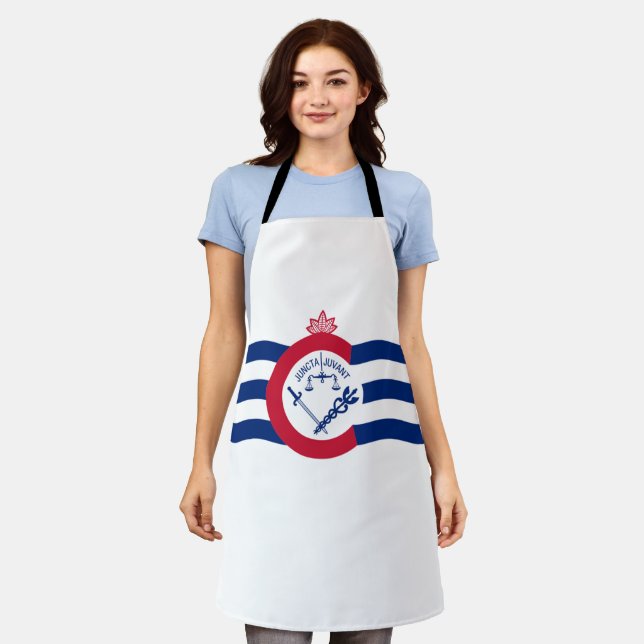 Delantal Bandera de Cincinnati City Apron (Gastado)