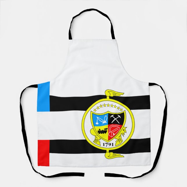 Delantal Bandera de Knoxville, Tennessee (Anverso)