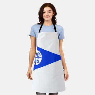 Delantal Bandera de la ciudad de Minneapolis Apron