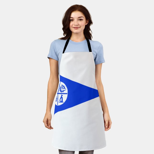 Delantal Bandera de la ciudad de Minneapolis Apron (Gastado)
