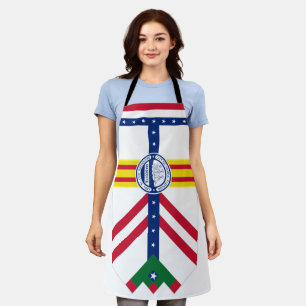 Delantal Bandera de la ciudad de Tampa (Florida) Apron