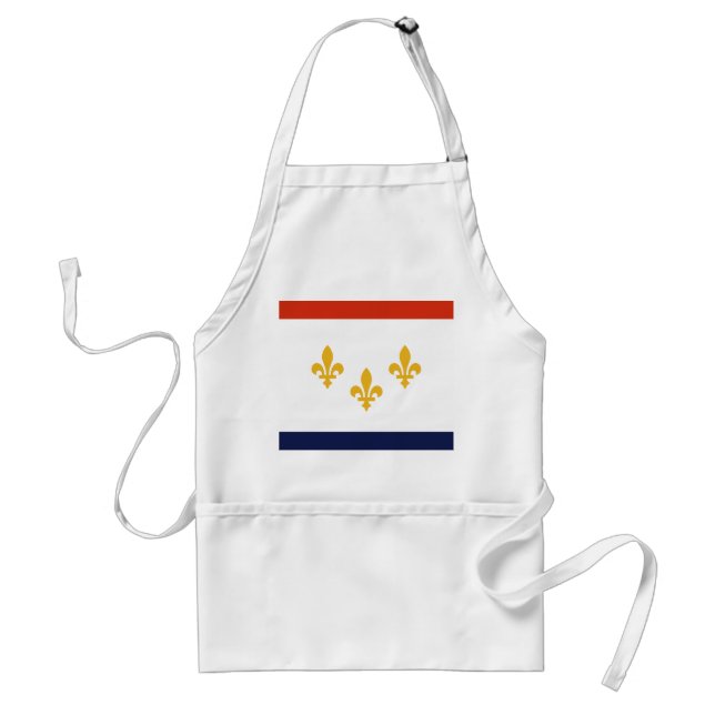 Delantal Bandera de Nueva Orleans, Luisiana (Frente)