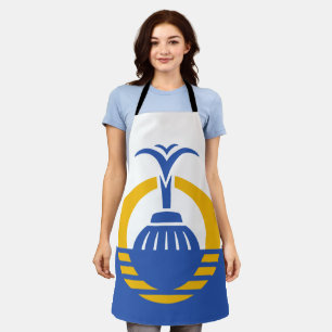 Delantal Bandera de Orlando City Apron
