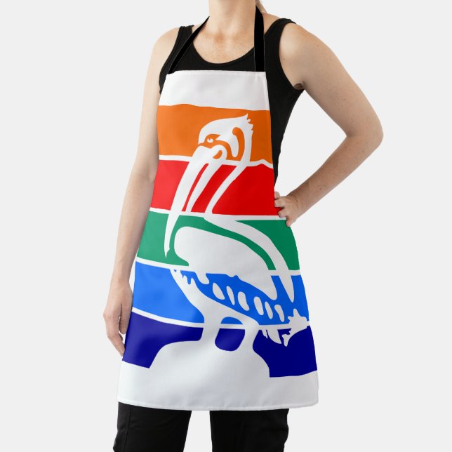 Delantal Bandera de San Petersburgo, Florida (in situ)