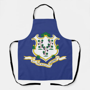 Delantal Bandera del estado de Connecticut