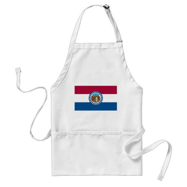 Delantal Bandera del estado de Missouri (Frente)
