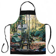 Bathed Mill in Sunshine