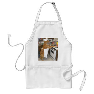 Delantal Bese a este cocinero