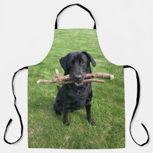 Delantal Black Lab con dos palos Dog Photo