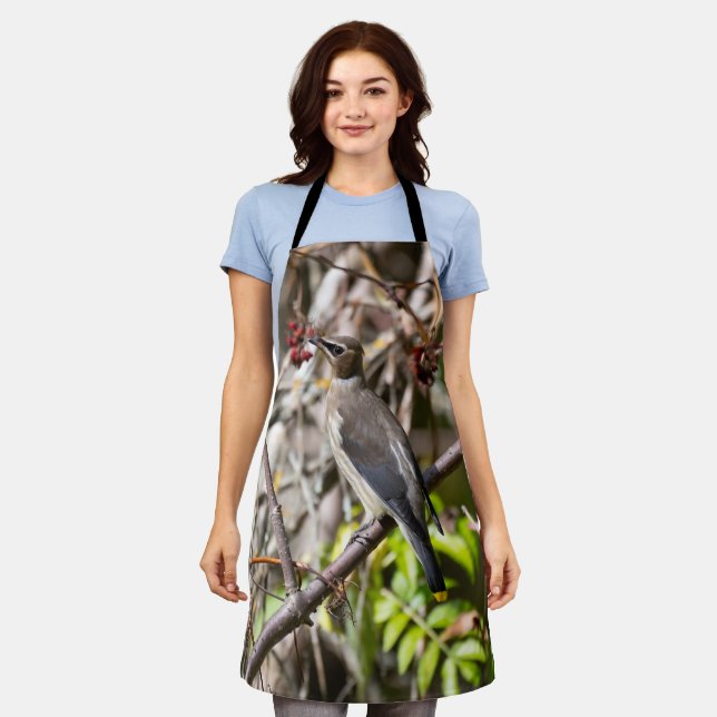 Delantal Bohemian Waxwing, fotografía canadiense aviar (Gastado)