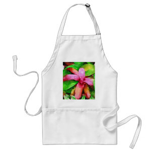 Delantal bromeliad tropical, jardín tropical de Fairchild,