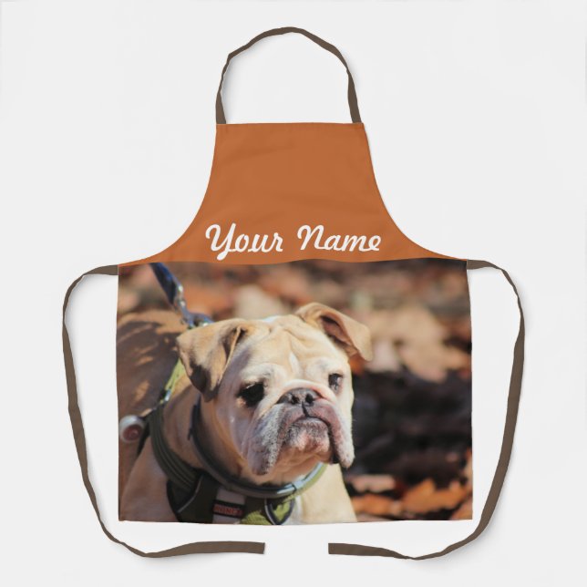 Delantal Bukkdig (Anverso)