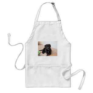 Delantal Cachorro de Labrador Negro