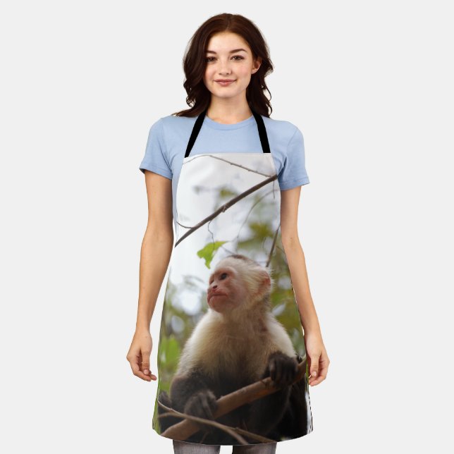 Delantal Capuchin, Mono de Costa Rica (Gastado)