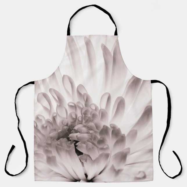 Delantal Chrysanthemum in full bloom. Close up macro of flo (Anverso)