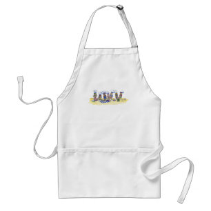 Delantal clase de cocina