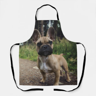 Delantal Cojín decorativo Bulldog francés