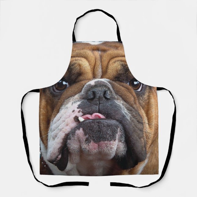 Delantal Cojín decorativo de Bulldog inglés (Anverso)