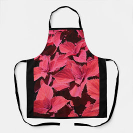 Delantal Coleus Close-up