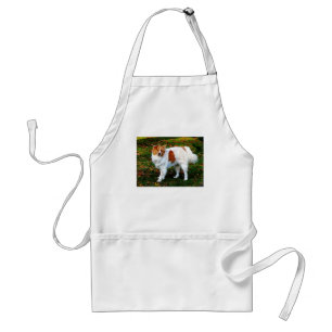 Delantal Collie en Lawn