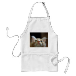 Delantal con el gatito anaranjado del Tabby
