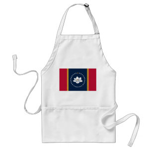 Delantal con la bandera de Mississippi