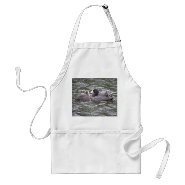 Delantal Coot Alimentando a Chick Apron hambriento (Frente)